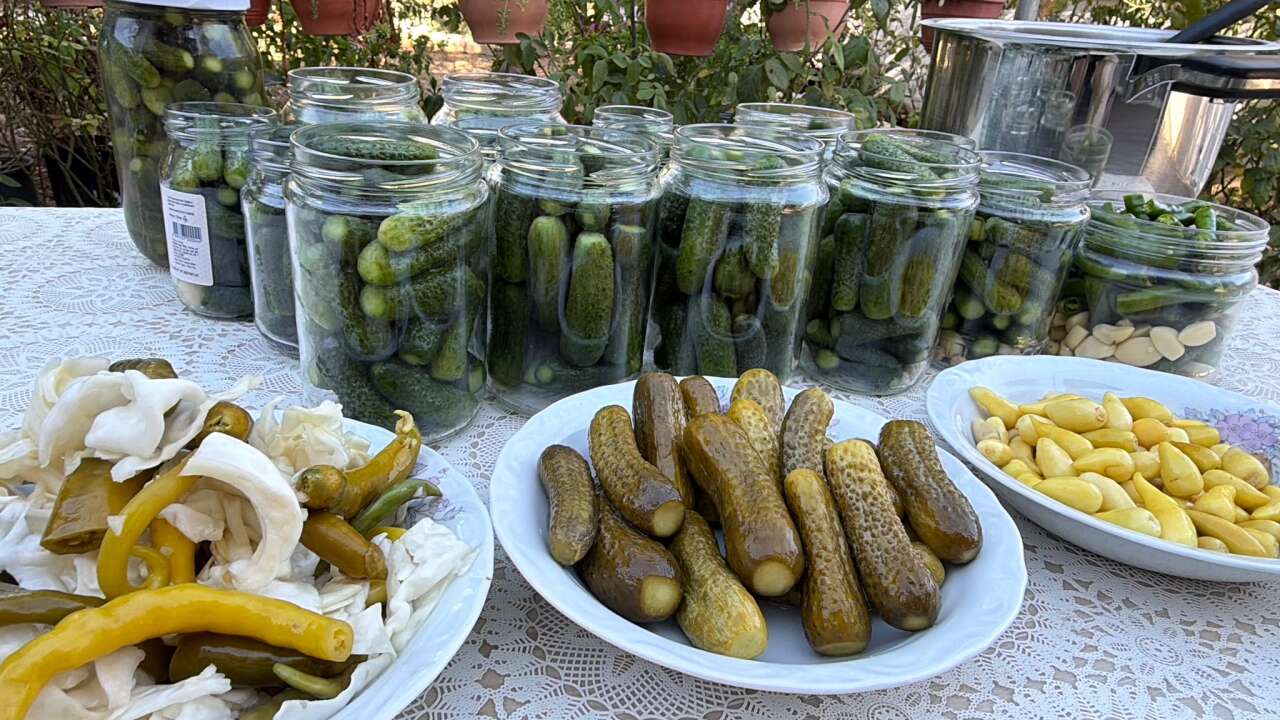 Muğla’da Lezzetli Turşunun Püf Noktalarını Elif Başoğul Anlattı 4